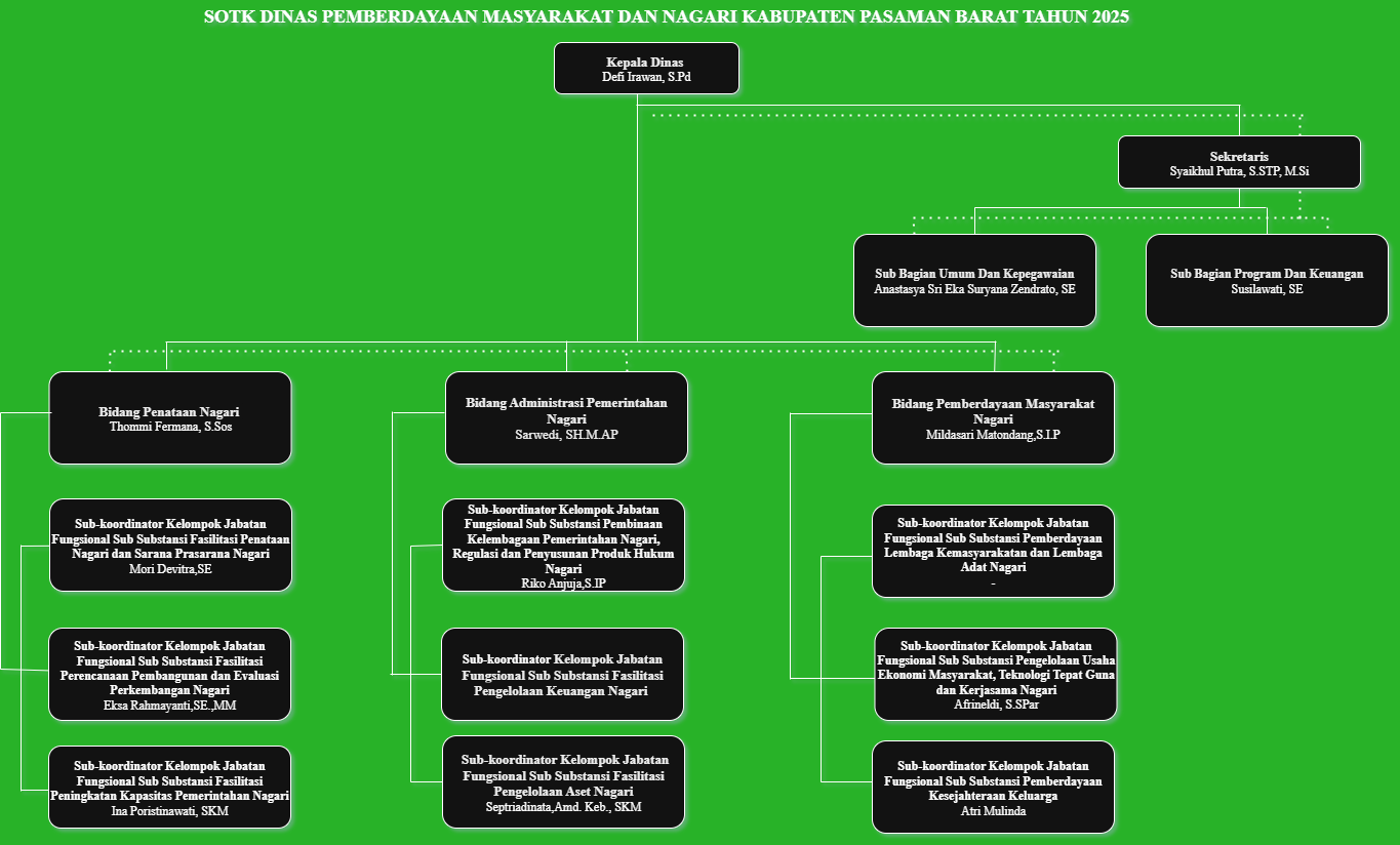 STRUKTUR ORGANISASI DPMN PASBAR